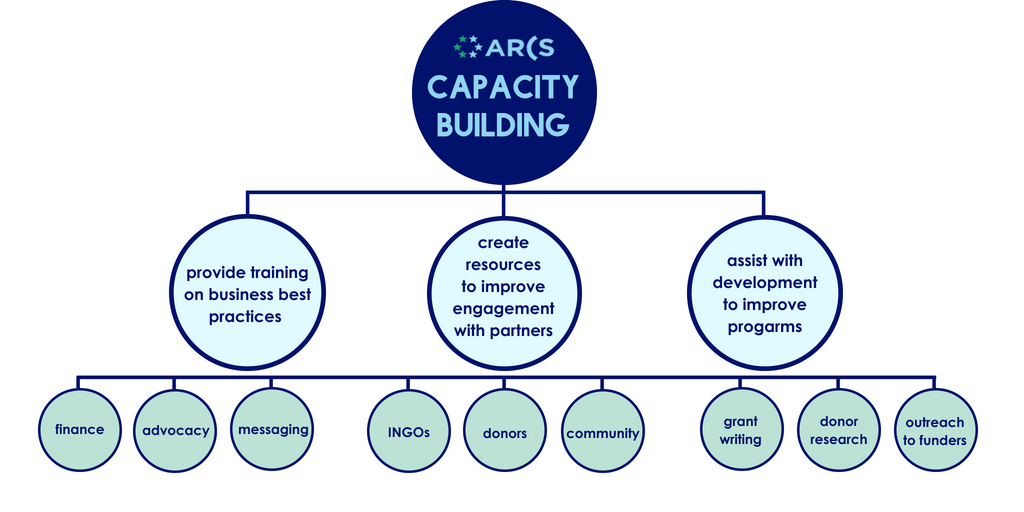 Capacity Building
